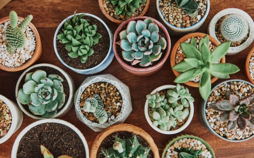 Ideias de negócios para começar com pouco dinheiro